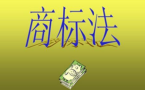 2017年INTA大(dà)會(huì)總結,來自數字化的(de)挑戰